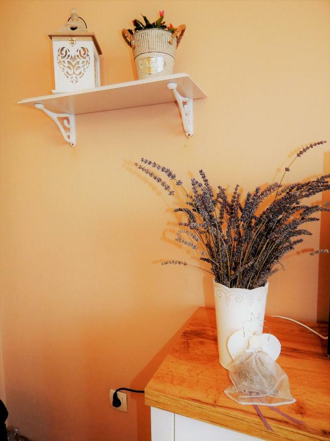 Studio Apartman Tvrtko Varaždin Dış mekan fotoğraf