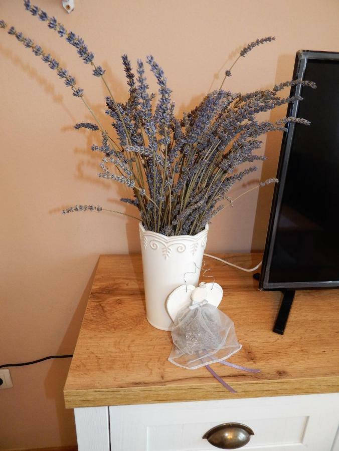 Studio Apartman Tvrtko Varaždin Dış mekan fotoğraf